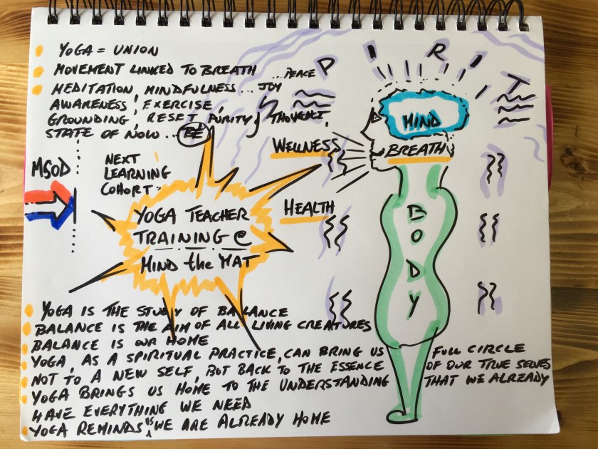 Yoga teacher training recap ...